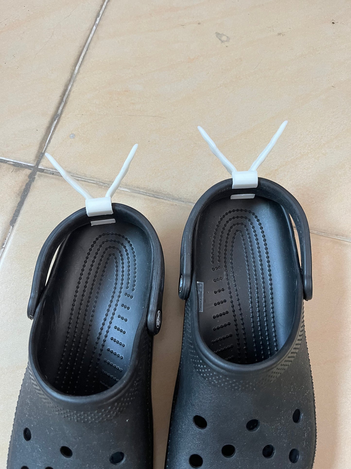 Angel Wings for Croc