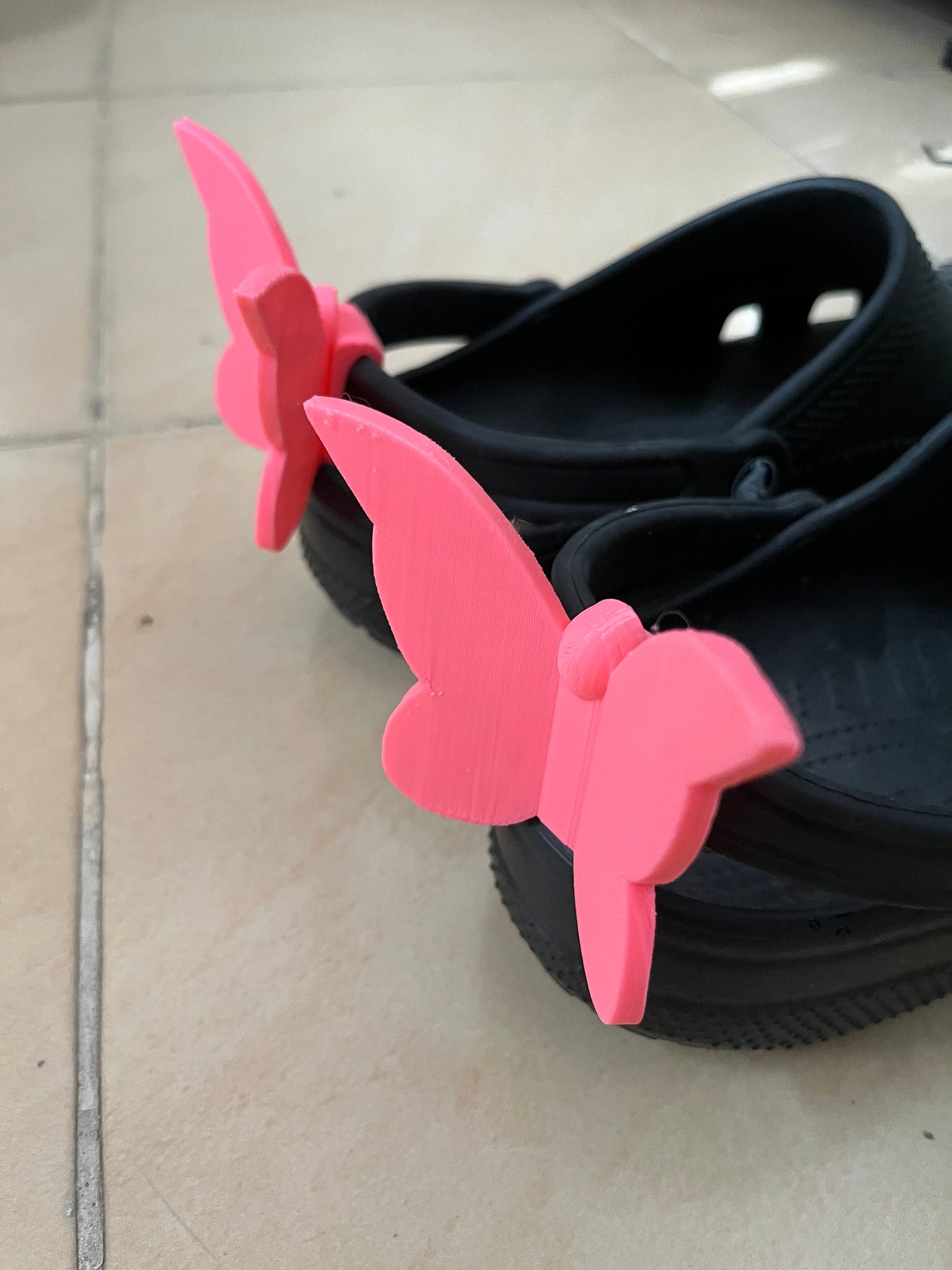 Butterfly with many colors selection