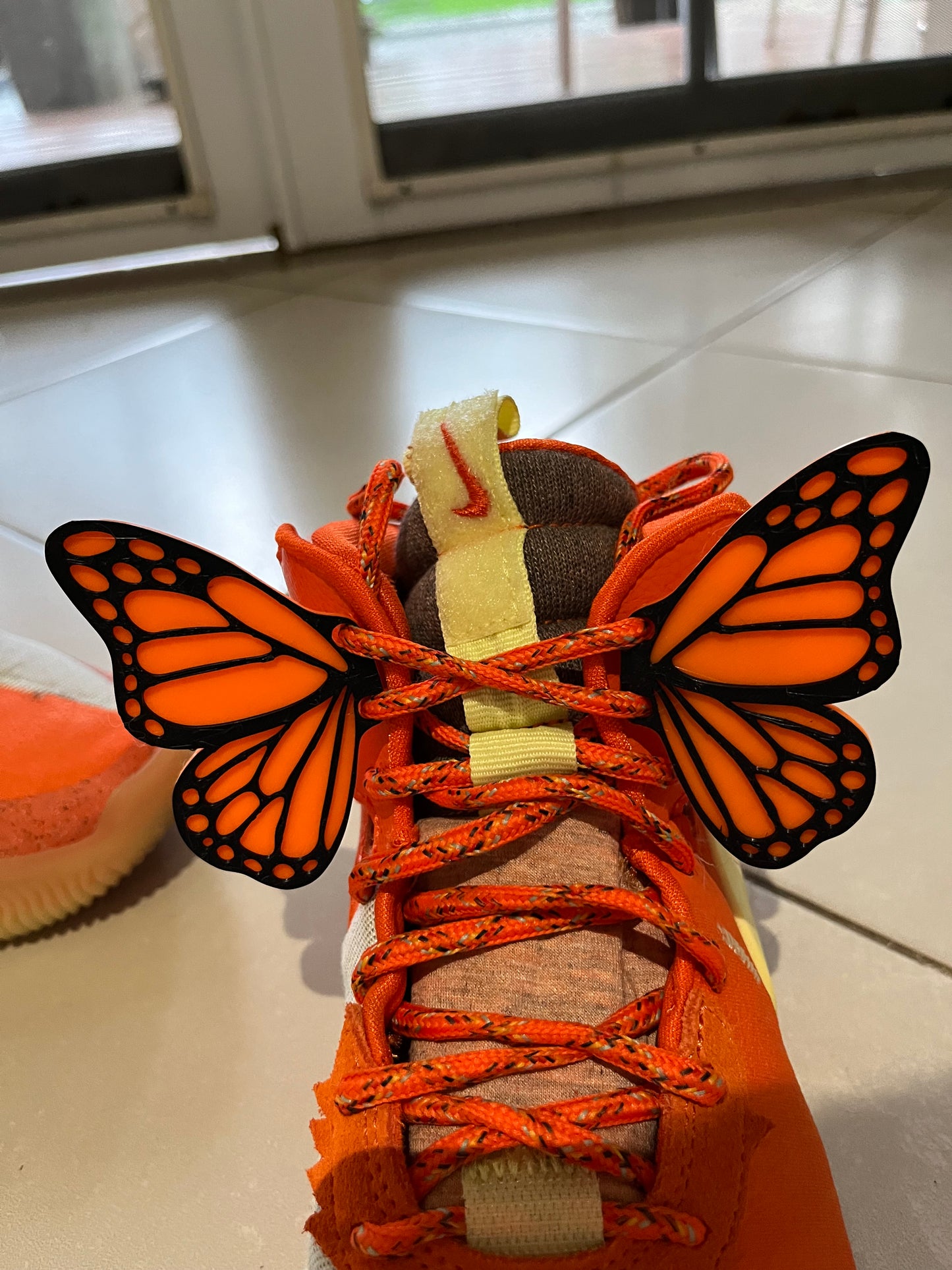 Butterfly Wings Clips 2 colors for Shoes