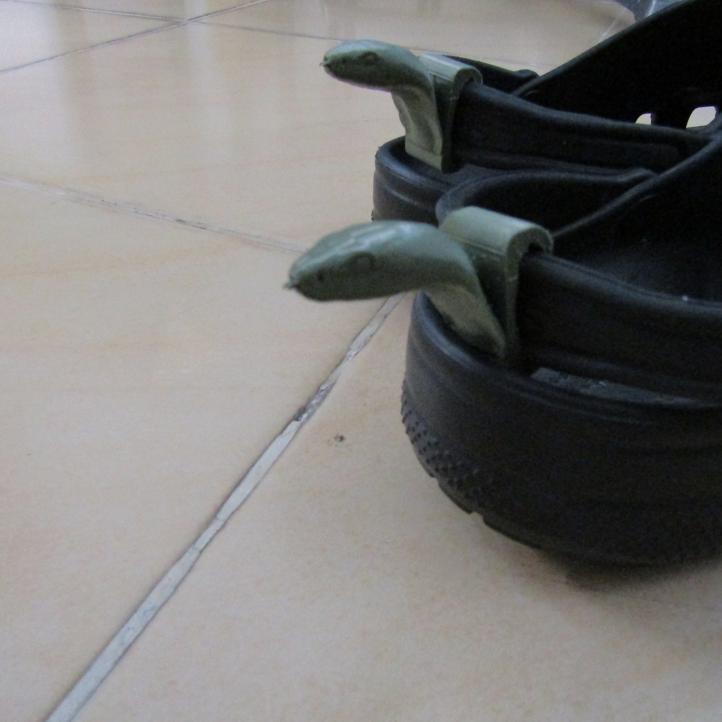 Snake for Croc with many color selection