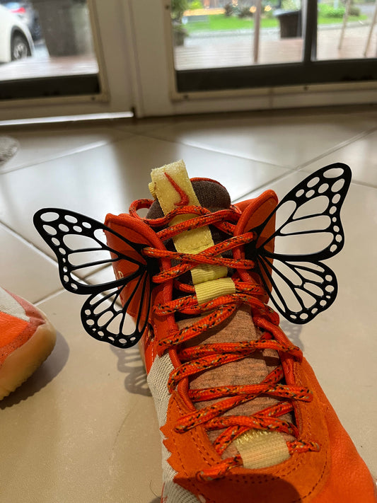 Butterfly Wings Clips for Shoes