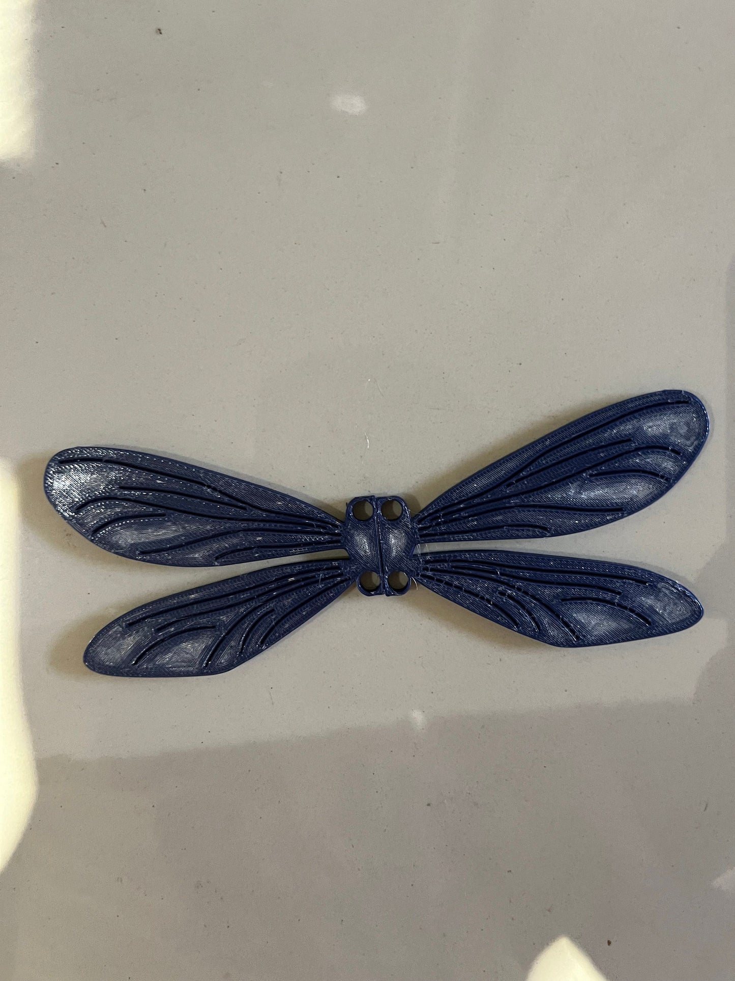 Dragonfly Wings Clips for Shoes