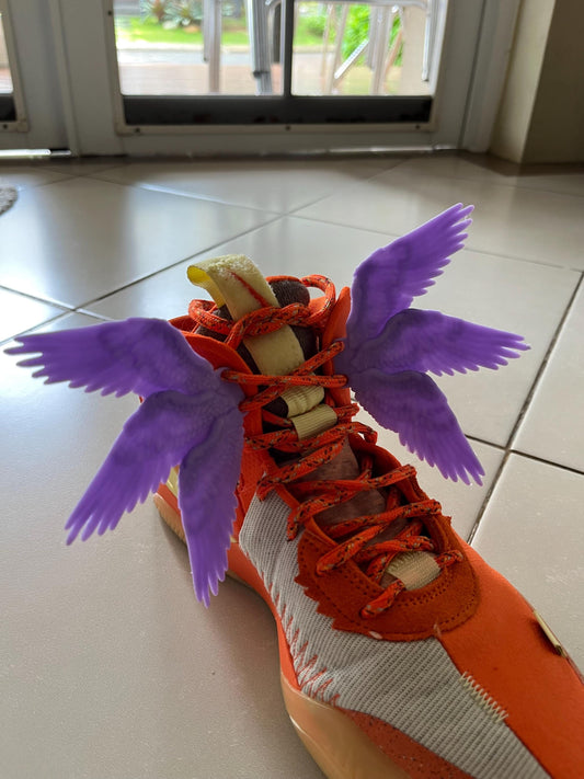 Three Angel Wings Clips for Shoes