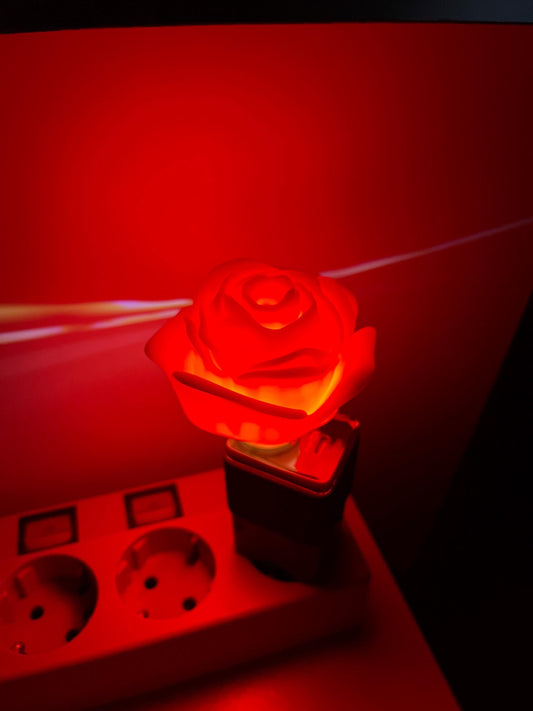 Rose Flower Lamp USB Wall Night Light Plug 3D print